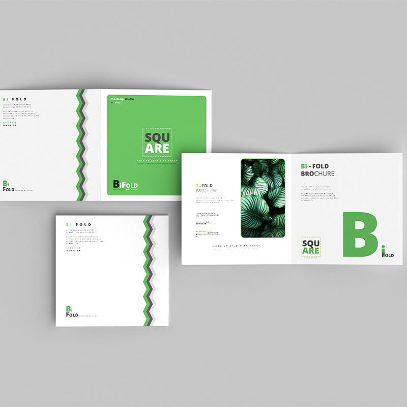 Commercial Printing Supplies Usa - Custom Full Color Flyer Brochure Printing